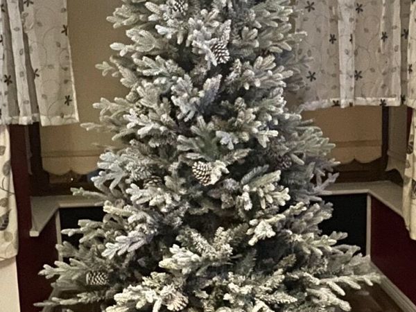 Christmas tree - Main image