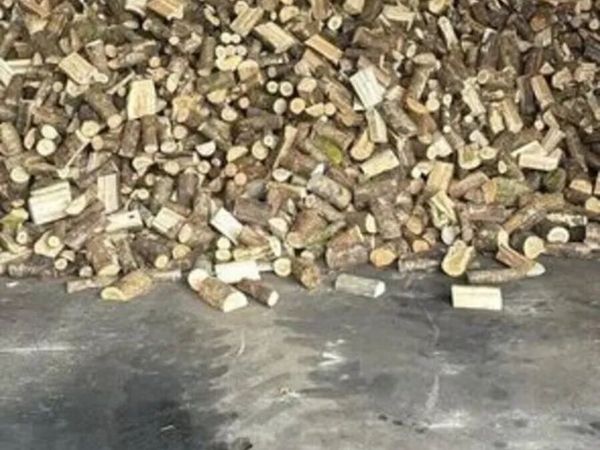 Timber firewood - Main image