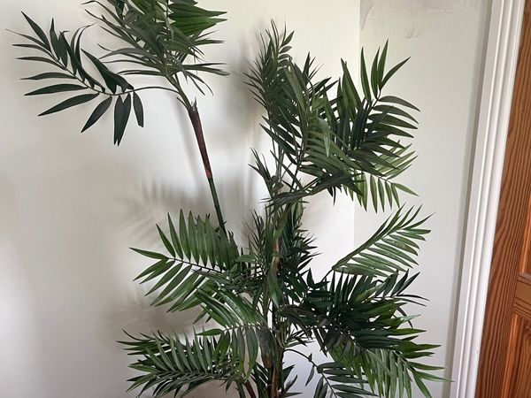 Artificial Plant - Main image