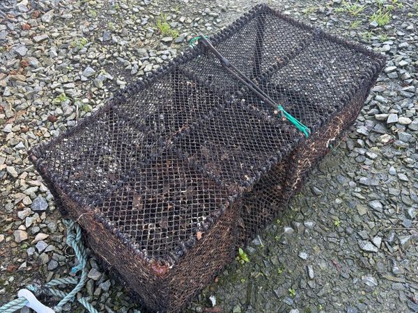 Wrasse pots - Main image