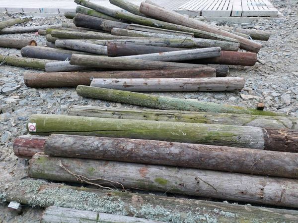 Gate posts heavy strainers - Main image