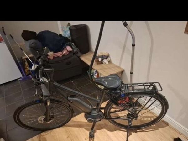 Electric bike - Main image