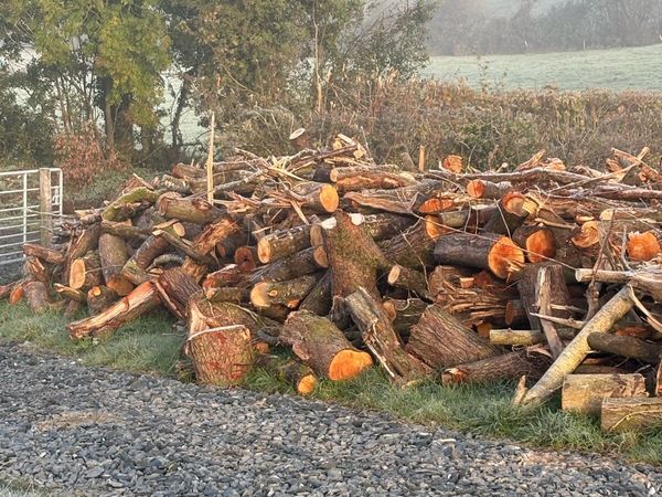 Fire wood for sale - Main image
