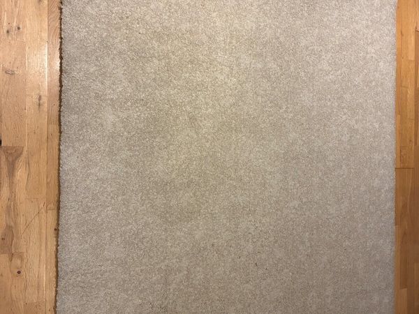 Carpet - Main image