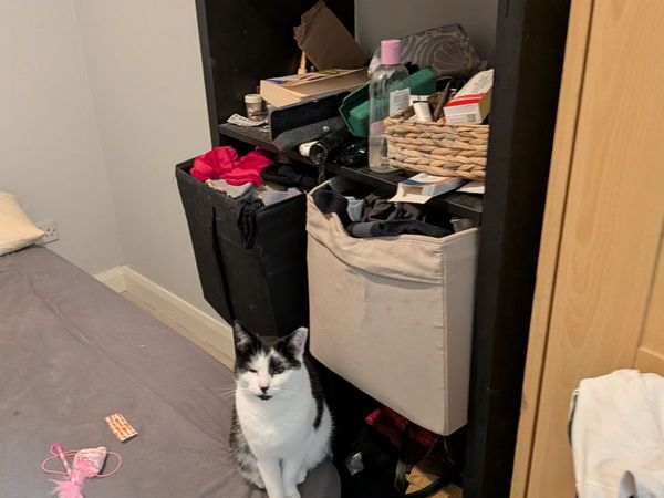 Ikea Kallax Shelves (FREE) - Main image