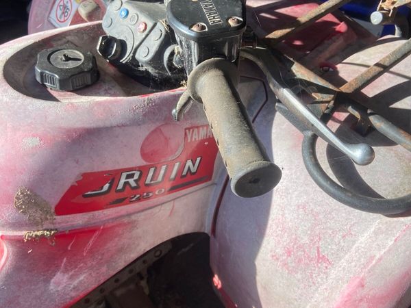 Yamaha bruin 250 - Main image