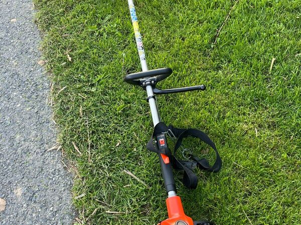 Strimmer - Main image