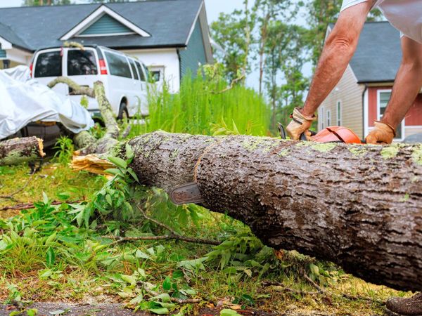 Tree Cutting & Power Washing Services - Main image