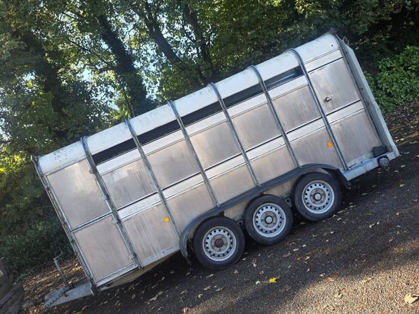 14ft ifor Williams cattle trailer - Main image