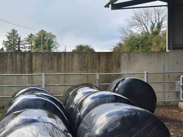 Silage from 2026 & 2025 - Main image