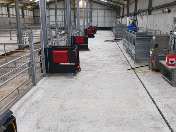Urban Alma Pro Automatic Calf Feeding System - Main image