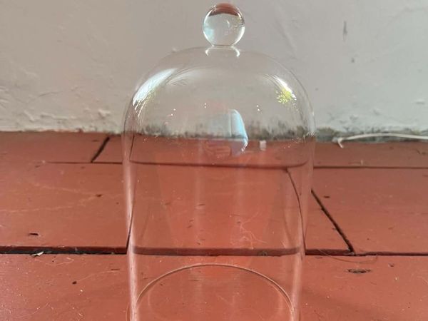 Glass Cloches & Boxed LED Candle Display Bundle - Main image