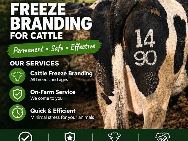 Freeze branding - Main image