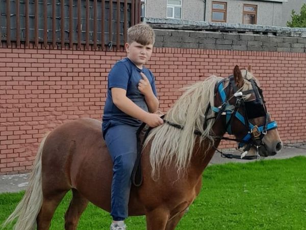 Kids Riding Pony For Sale - Main image