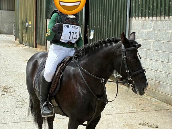 Pony - Main image