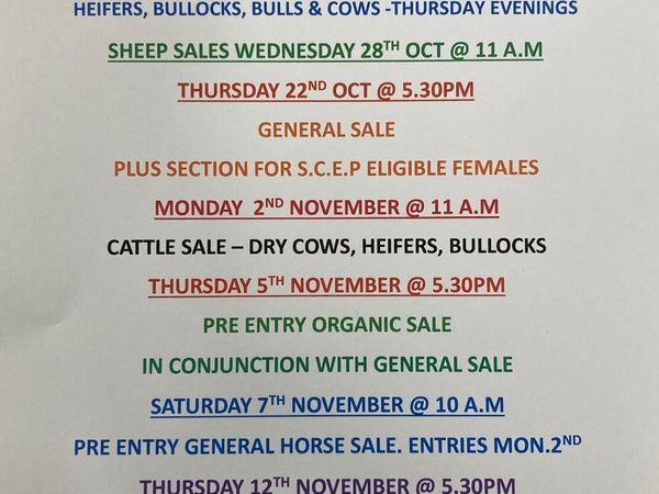Gort Mart: Thursday 22nd Oct: Entries - Main image