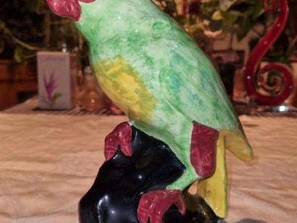 Vintage parrot - Westminster Hanley, Staffs - Main image