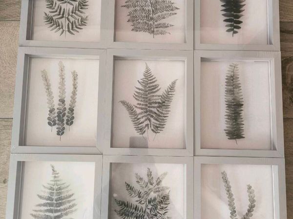 Set of 9 floating framed prints of foliage (New) - Main image