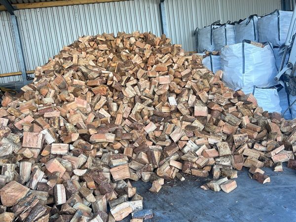 Softwood logs - Main image