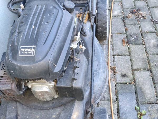 self-propelled lawn mower - Main image