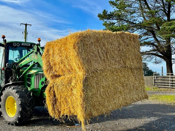 Barley straw for sale - Main image