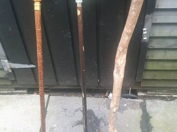 Walking sticks - Main image