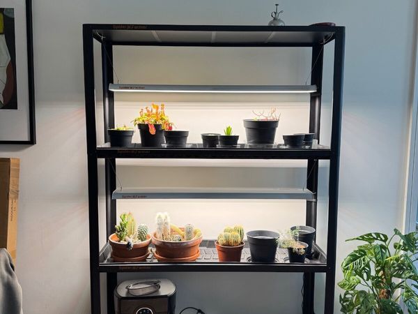 2025 Spider Farmer® SF600 Growshelves - Main image