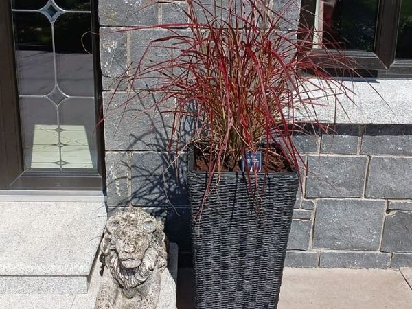 Jysk Tall garden planters x 28 - Main image