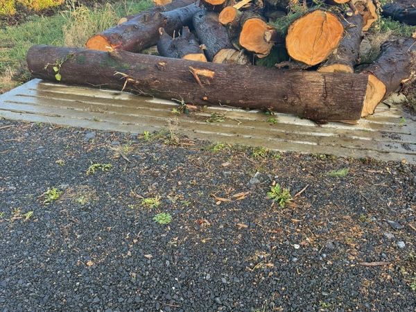 Lengths of timber for firewood - Main image