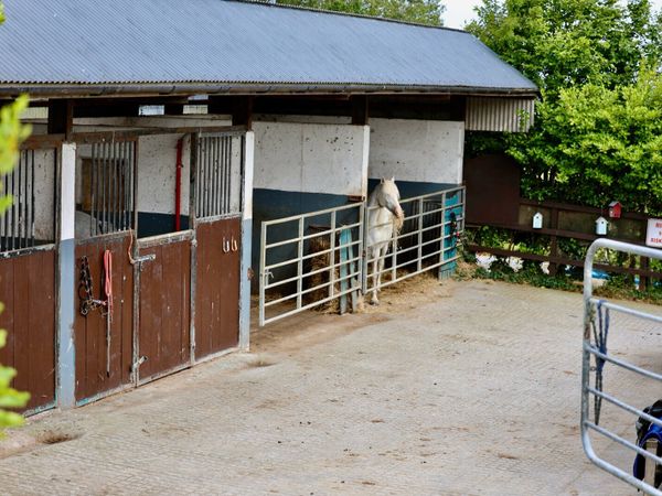 Livery available - Main image