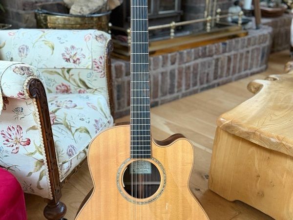 Guitar Mcilroy 12 String Cutaway - Main image