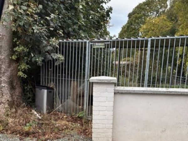 Brenken Dog run - Main image