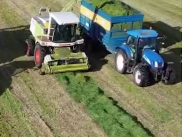 CLAAS JAGUAR 860 - Main image