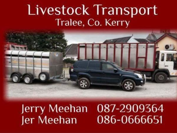 Connemara Pony Sales Clifden Transport - Main image