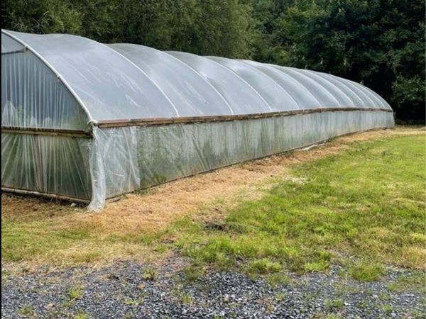 Market garden - Main image