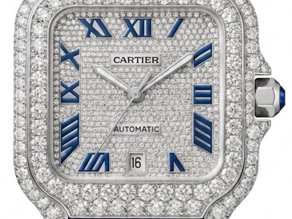 Cartier Santos VVS 10ct - Main image