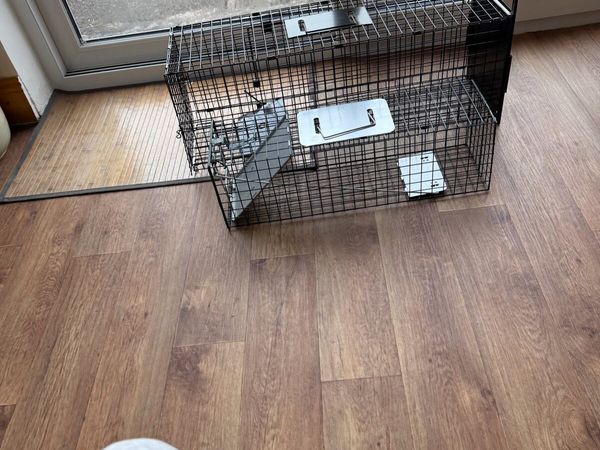 Cat trap and mink trap for free - Main image