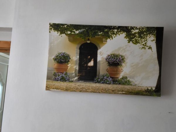 Lovely vibrant coloured picture on canvas - Main image