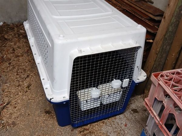 Air Crate for a Dog - Main image