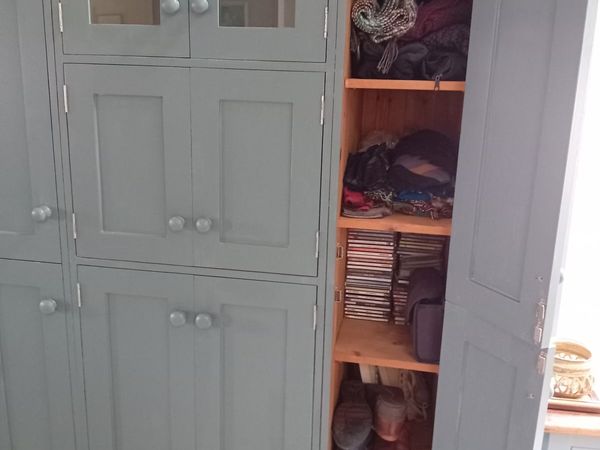 PAINTED PINE KITCHEN STORAGE CABINET UTILITY for sale in Kerry for €800 ...