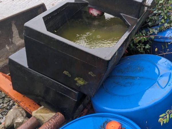 Water trough - Main image