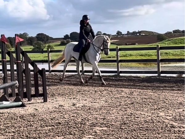 13yo schoolmaster - Main image