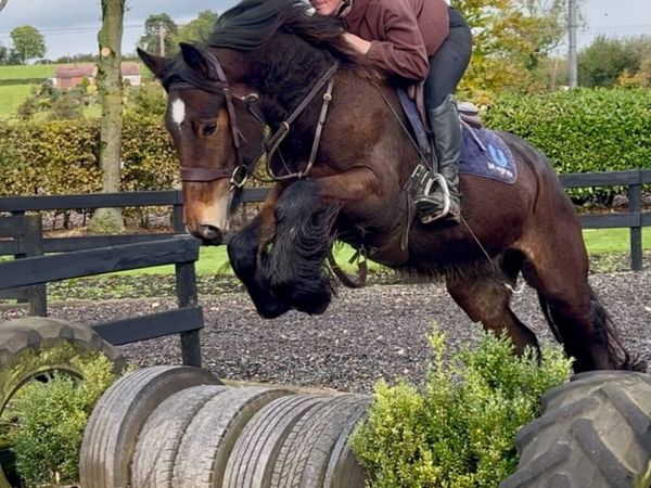 Tremendous traditional Irish  cob - Main image