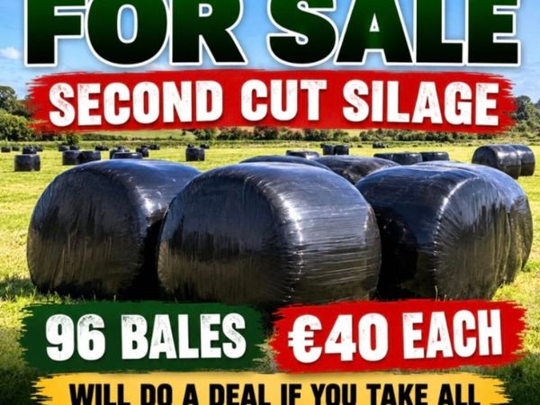 Second cut  silage - Main image