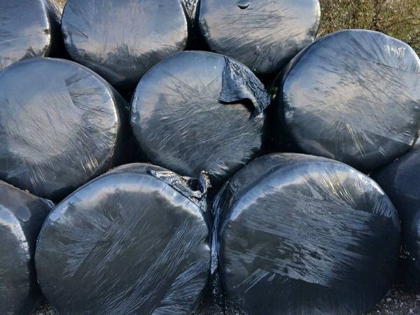Silage Bales - Main image