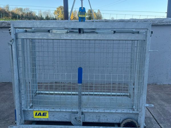 IAE lamb weighing scales - Main image