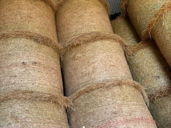 Hay & Peat - Main image