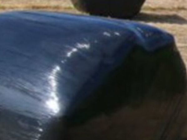 Ronud bales of silage - Main image