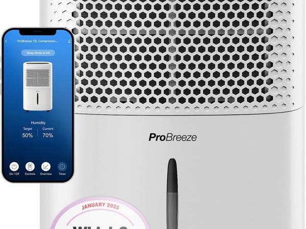 12L Day Dehumidifier with Automatic Humidity - Main image