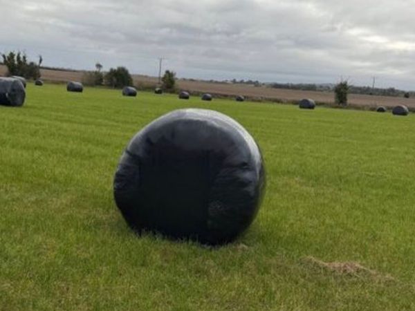 Silage bales - Main image